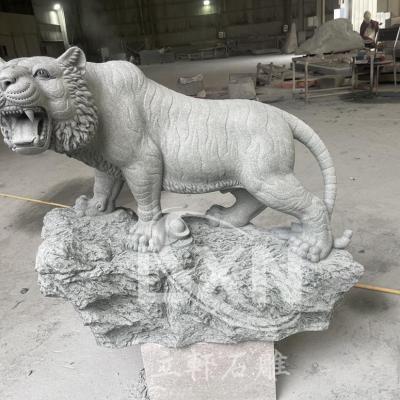 20260101 05 10